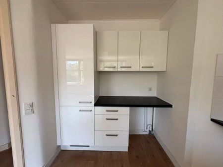 Linnaeusstraat 217 2 - Photo 3