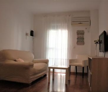 Calle Muro de los Navarros, Sevilla, Andalusia 41003 - Photo 5