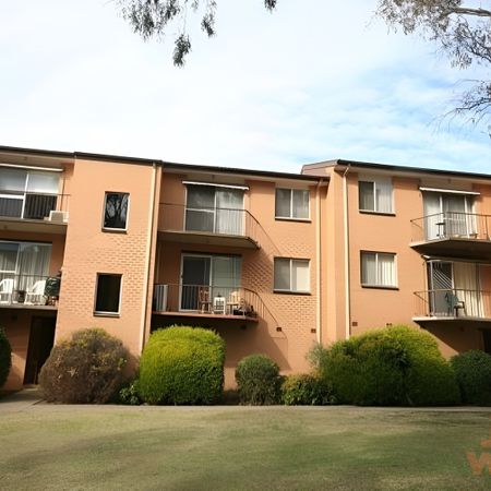 16/17 Mowatt Street, Queanbeyan NSW 2620 - Apartment For Rent | Domain - Photo 4