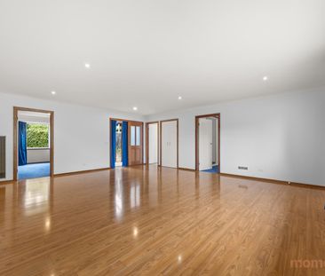 16 O'shanassy Street, Curtin ACT 2605 - House For Rent | Domain - Photo 5