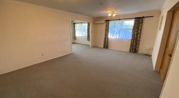 THREE BEDROOMS - AWAPUNI - Photo 1