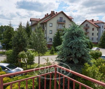 Szereg w Bielanach Wrocławskich - Zdjęcie 6