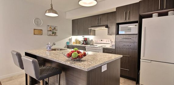 Superbe 4 1/2 + B, LÉVIS, (St-David), 1ier étage, air clim, 2 STATIONNEMENTS EXTÉRIEURS INCLUS, LIBRE LE 1ier décembre 2026. - Photo 2