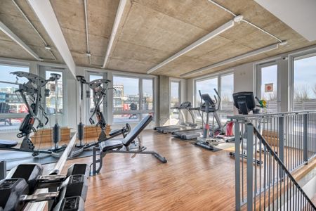 Appartement à louer - Montréal (Côte-des-Neiges/Notre-Dame-de-Grâce) (Côte-des-Neiges) - Photo 3