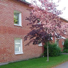 Spanngränd 49 - Foto 2