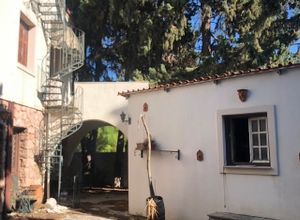 Μονοκατοικία για ενοικίαση - Παλλήνη, - Photo 4