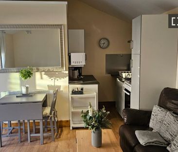 Studio for rent in Dublin - Photo 1