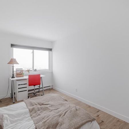Appartement 3 ½ à louer Sainte-Foy / Sillery juillet 2026 - Photo 4