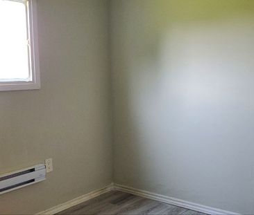 For Lease - 14 Elm Grove Avenue, Richmond Hill, Ontario - Photo 3