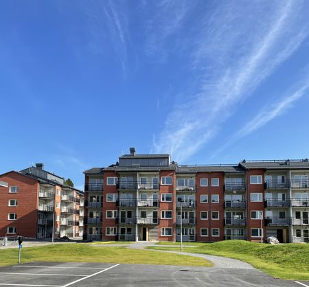 Vintergatan, Skelleftehamn - Foto 3