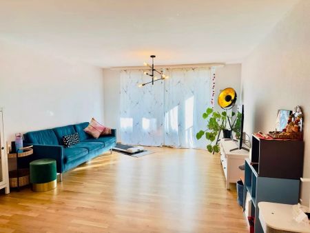 Appartement 3 ½ pièces, 1004 Lausanne - Photo 2