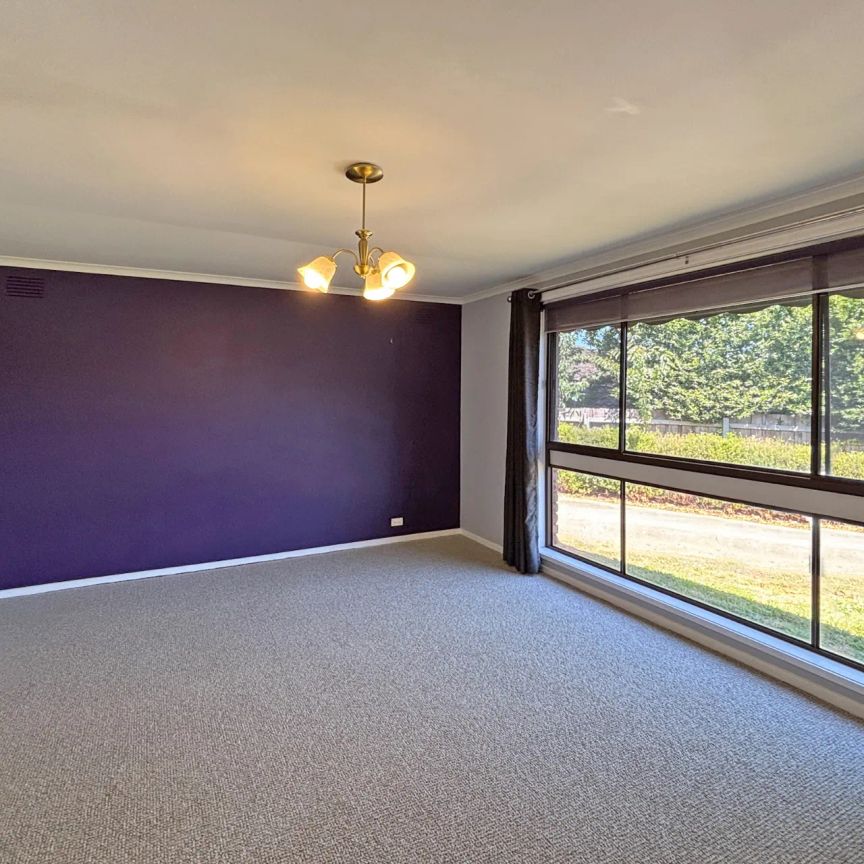 Quiet Location - Photo 1