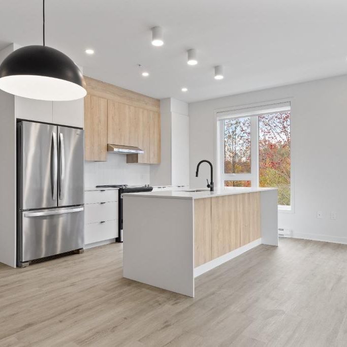 appartement 4 1/2 à louer - Photo 1