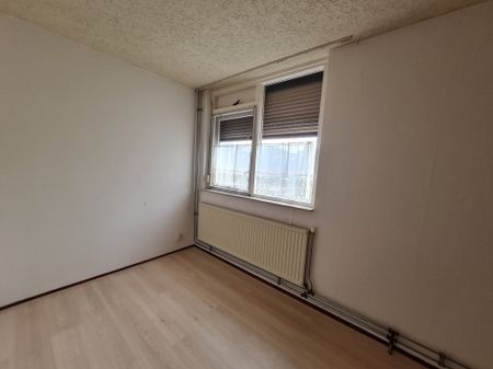 Te huur: Kamer Meijhorst 5049 02 in Nijmegen - Foto 5