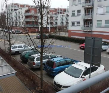 Byt 1+kk, Hradec Králové, pronájem - Fotografie 2