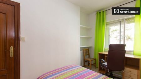granada, Andalusia 18011 - Photo 5