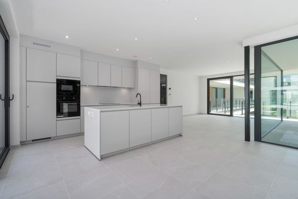 Energiezuinig Nieuwbouwappartement in een groene site op wandelafstand van het centrum van Lokeren - Foto 1