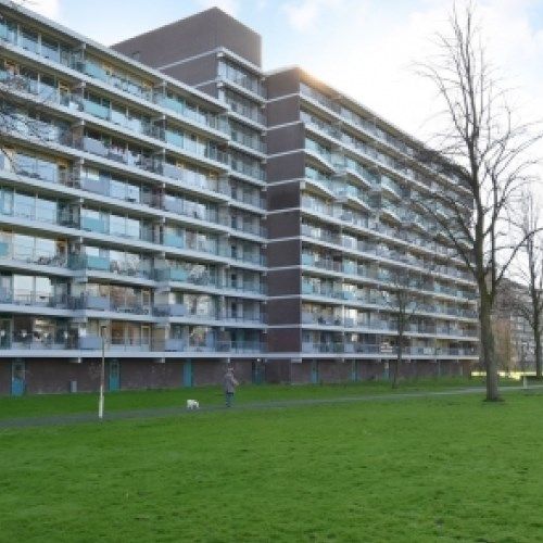 Apartment Zoetermeer - Belvédèrebos - Photo 1