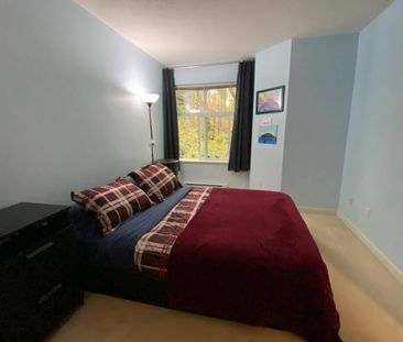 428-4833 Brentwood Drive, Burnaby - Photo 5