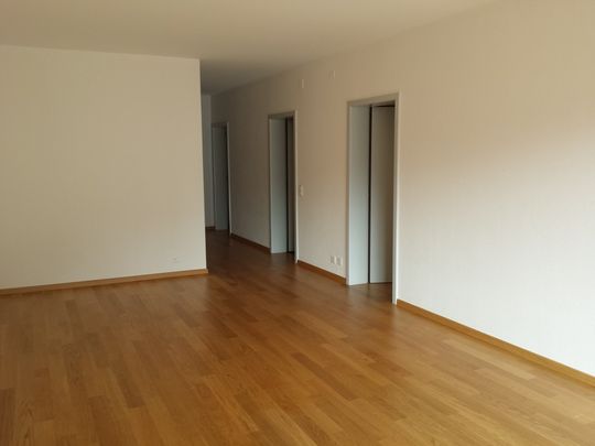 Mendrisio, 3,5 locali con doppi servizi, ristrutturato - Photo 1