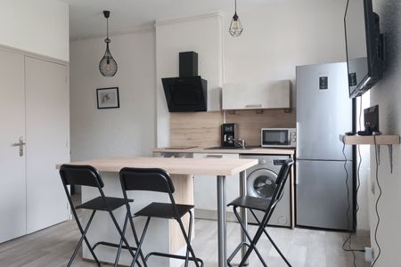 Location Appartement 1 pièce 28m² ST ETIENNE 42100 - Photo 3
