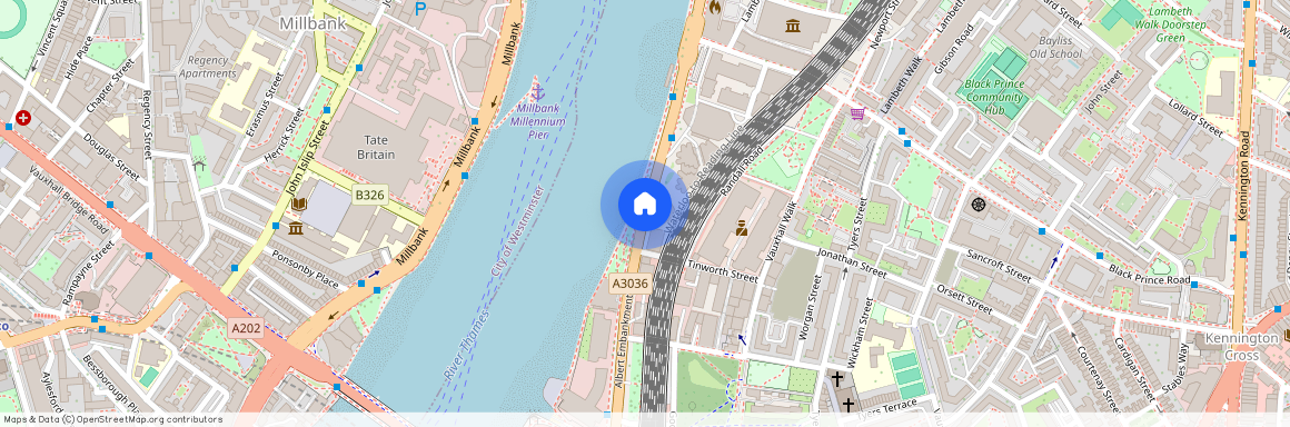 Albert Embankment, Albert Embankment