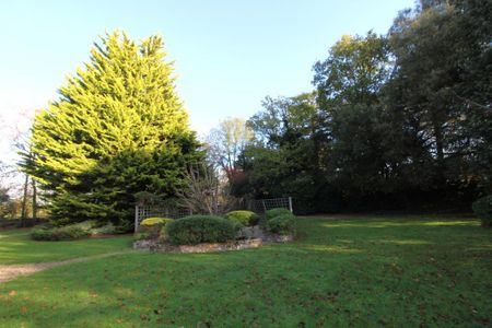 1 bedroom ground floor flat to rent - Photo 5