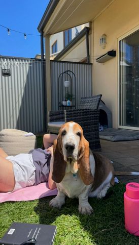 North Plympton - Photo 5