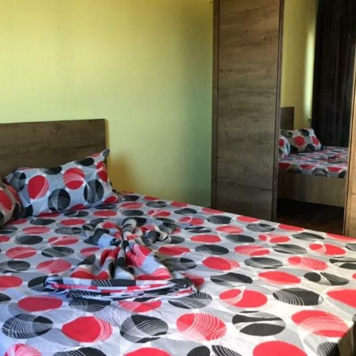 Inchiriere apartament 1 camera - Photo 1