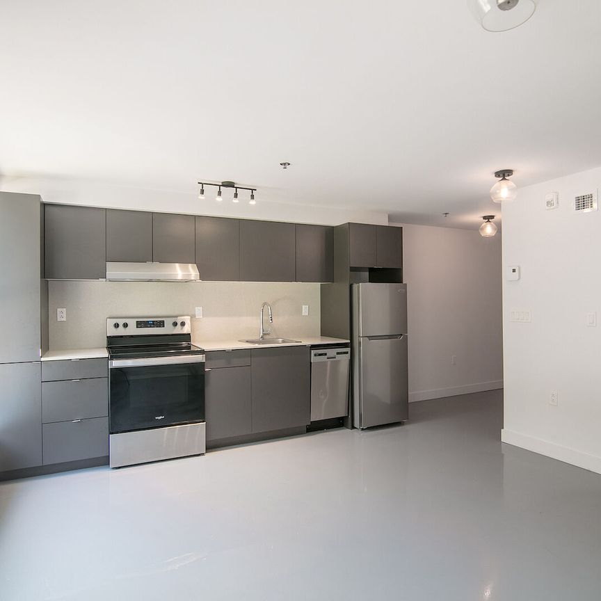 4350 Hotel-de-ville, Montréal, QC - Photo 1