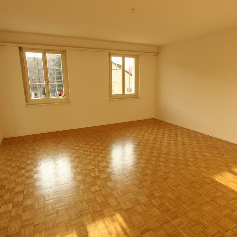 Frick / Appartement 3.5 pièces 1er étage gauche - Photo 1