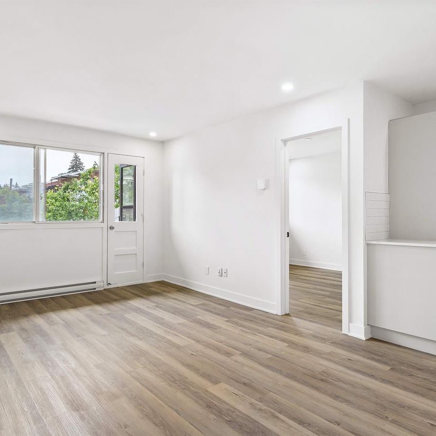 1 CH - 1 SDB - Montréal - $1,350 /mo - Photo 1