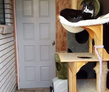 Upper Coomera - Photo 1