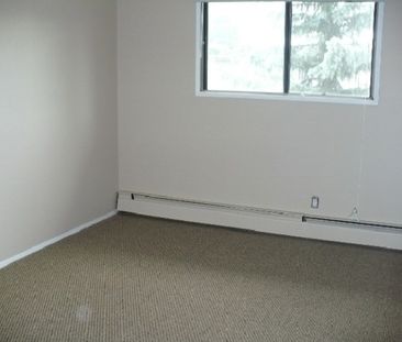 Pet Friendly 2 Bedroom Unit with In-Suite Laundry!! - Photo 4