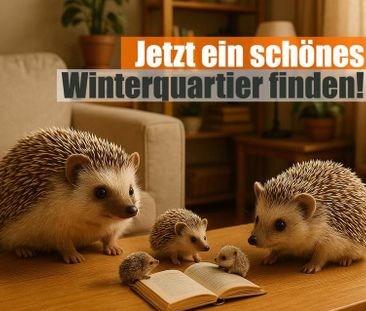 Jetzt ein schönes Winterquartier finden - Gemütliche 2-Raum Wohnung... - Photo 1