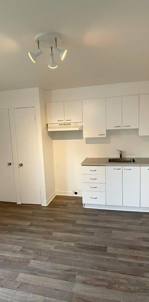 2 CH - 1 SDB - Québec - $1,150 /mo - Photo 1