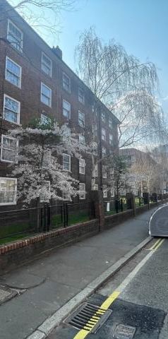 Bright and Airy Three Bedroom Apartment in the Heart of SE1 - Photo 2