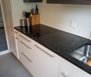 APPARTEMENT 4 PIÈCES À LUCERNE, MEUBLÉ, TEMPORAIRE - Photo 6