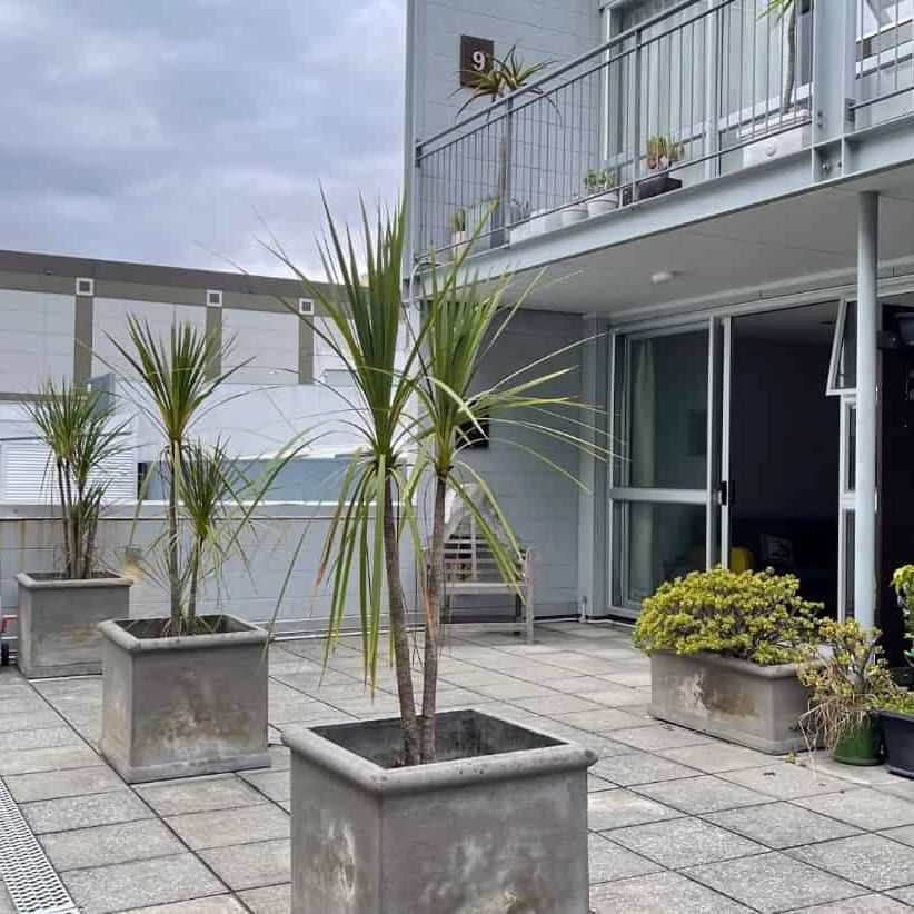 Apartment available in New Market - Photo 1