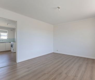 Recently Renovated Unit - Photo 1