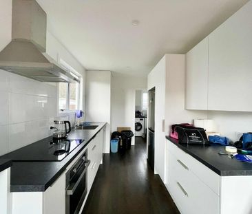 Pet Friendly on Karaka - Photo 6