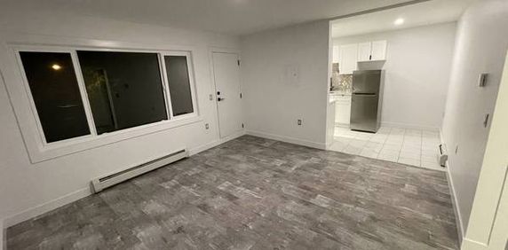 ►►► NEWLY RENOVATED MODERN, CHIC & COOL 1 BDRM - Photo 2