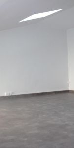 Location Appartement 1 pièce 30m² ST ETIENNE 42100 - Photo 3