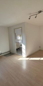 Location Appartement 1 pièce 20m² TOURNUS 71700 - Photo 3