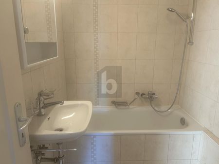 MAGNIFIQUE VUE SUR LE LAC - Photo 5