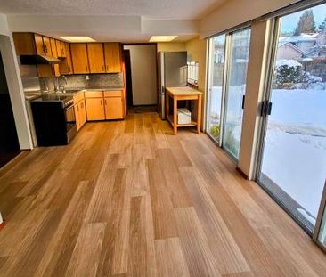 Gorgeous, Bright, Quiet, Very Large 1 Bedroom + Den/Dining - Photo 4