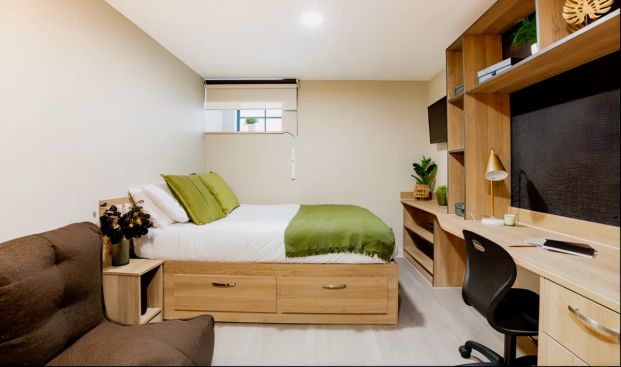 Basement Studio Plus - Photo 1