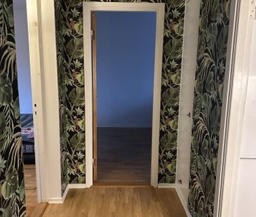 Doktor Liborius Gata, Göteborg - Foto 2