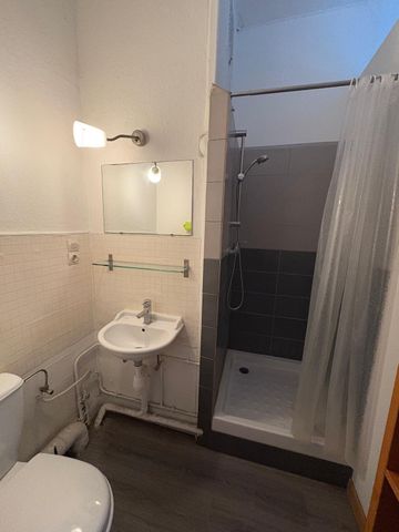 Location Appartement 1 pièce 16m² STRASBOURG 67000 - Photo 4