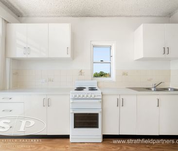 * North facing spacious living - Photo 5